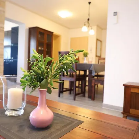 Pejanovic Apartment *